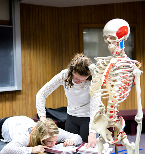 Exercise Science 11102015 (18).jpg